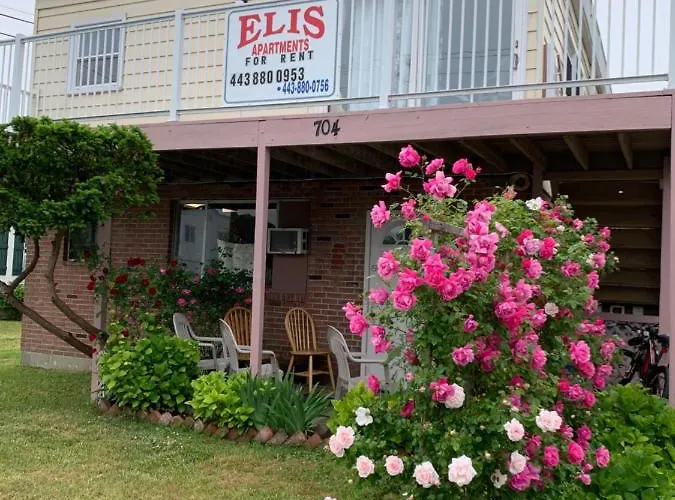 Elis * Ocean City